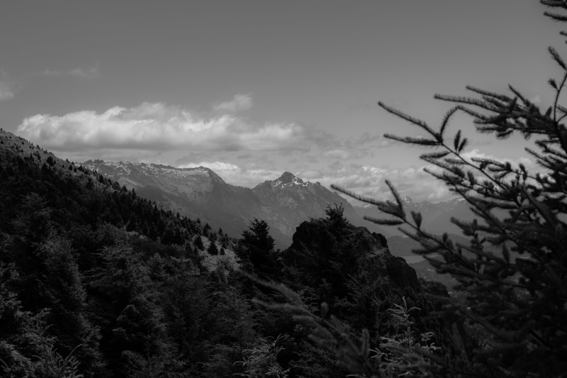 sky, pine tree, cloud - sky, day, plant, snowcapped mountain, 50, cold temperature, scenics - nature, beauty in nature, pine, mountain peak, bariloche