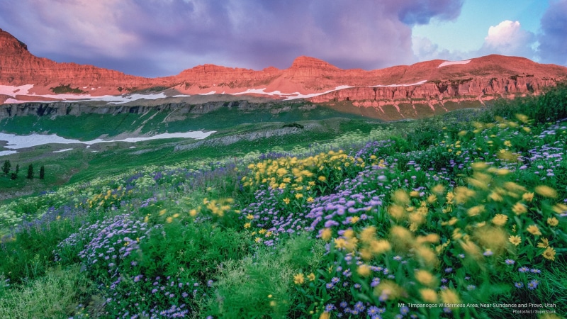 Mountains, mt, provo, utah, near, area, wilderness, sundance, timpanogos, 2K