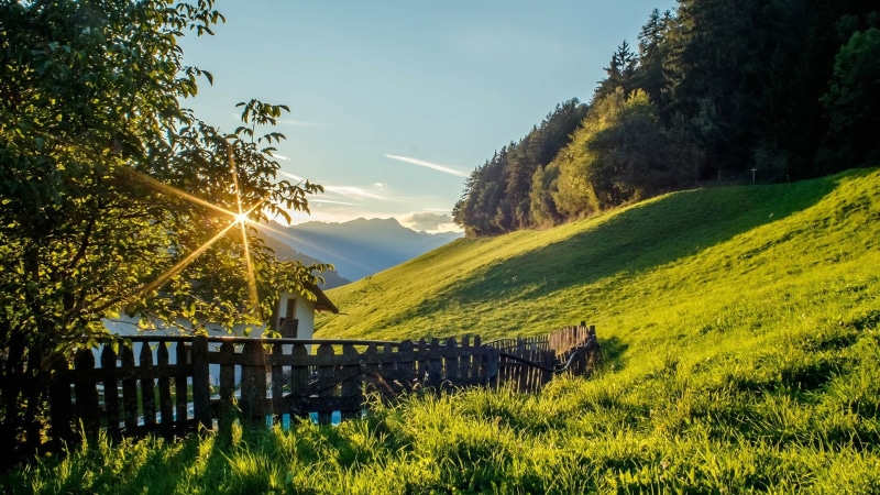 grassland, day, growth, built structure, nature, green color, tranquility, landscape, fence, grass, hill, scenics - nature, 1080P, morning, house, field