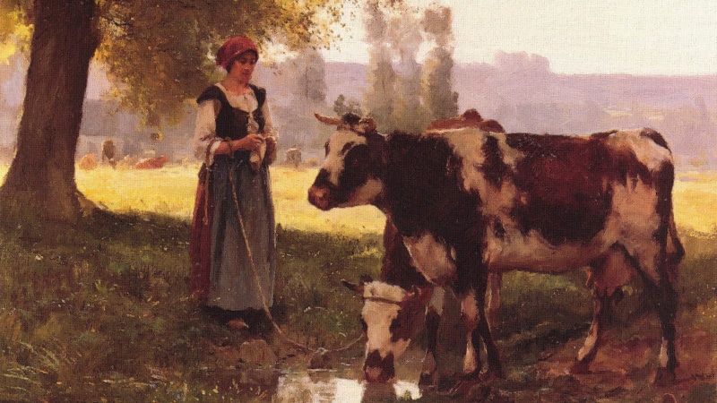 leisure activity, lifestyles, farm, full length, domestic animals, domestic, painting, looking at camera, woman, mammal, one animal, standing, nature, adult