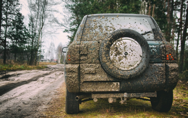 toyota, plant, wheels, blue, wilderness, road, rav, mud, auto, 4K, bumper, trees, off-road rally, toy car, rural scene, tree, transportation, nature, mode of transportation