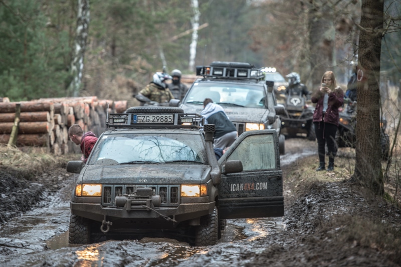 group of people, people, motor vehicle, plant, field, day, road, trip, real people, 4 x 4, focus on foreground, outdoors, forest, transportation, land vehicle