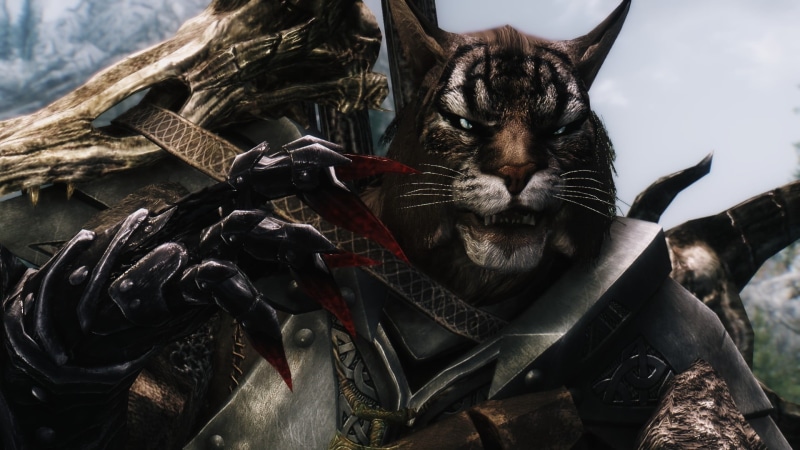 domestic cat, pets, metal, painting, video games, vertebrate, artwork, close-up, domestic, feline, blood, cat, relaxation, one animal, Khajiit, tiger, mammal