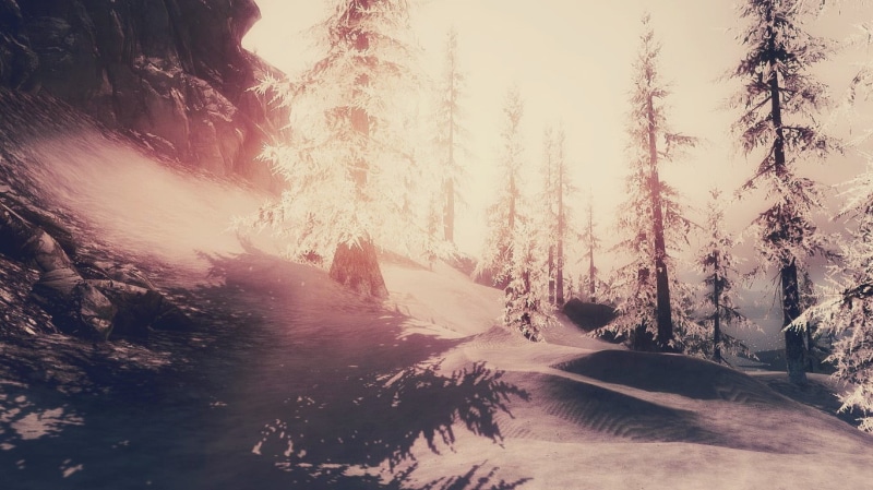 plant, sky, growth, day, no people, 720P, pine, video games, land, tranquil scene, forest, outdoors, cold temperature, The Elder Scrolls V: Skyrim, nature