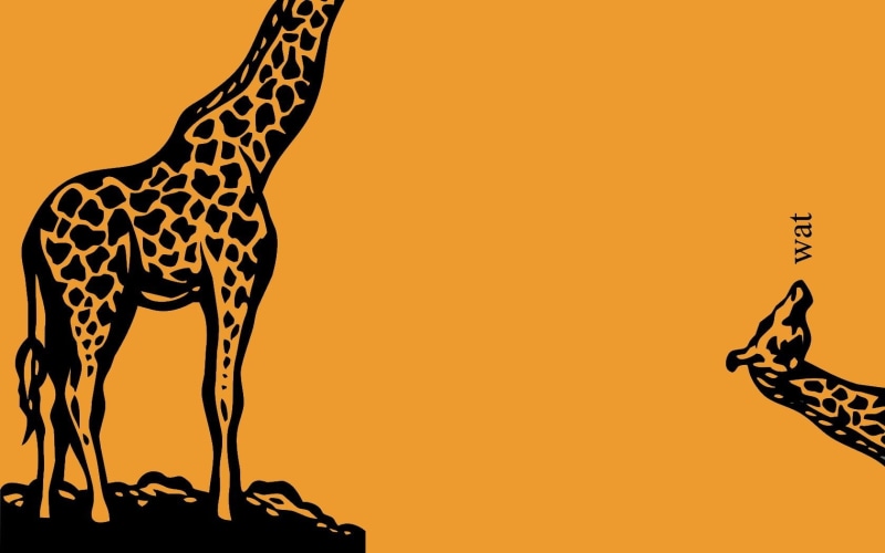 animal themes, domestic animals, yellow, giraffe, animal, group of animals, studio shot, minimalism, giraffes, mammal, orange color, animals in the wild