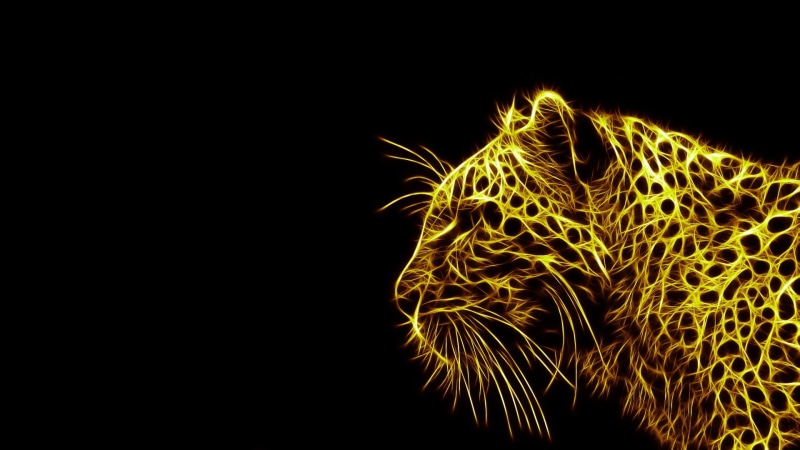 animal themes, plant, vibrant color, cheetah, pattern, no people, Fractalius, 1080P, beauty in nature, animals, animal, close-up, studio shot, light - natural phenomenon