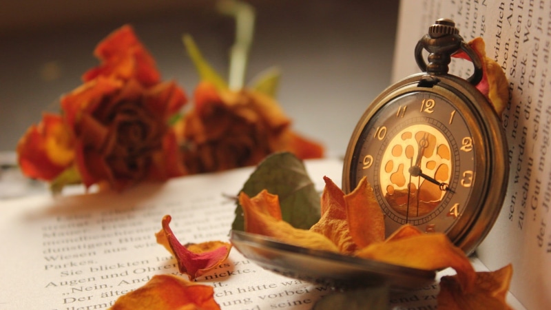 alarm clock, table, book, ceramic, text, depth of field, clocks, minute hand, petals, watch, floral pattern, clock, number, flower, selective focus, black