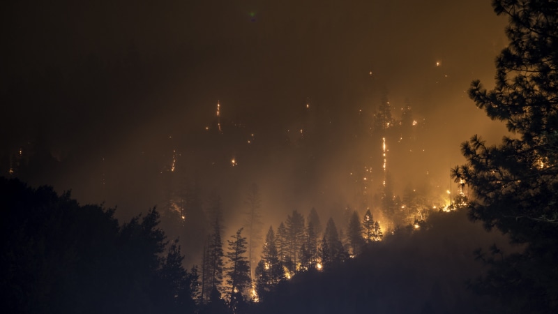 no people, dark, mountain, silhouette, star - space, forest, burning, tranquil scene, woodland, scenics - nature, land, tranquility, tree, fire, 5K, night