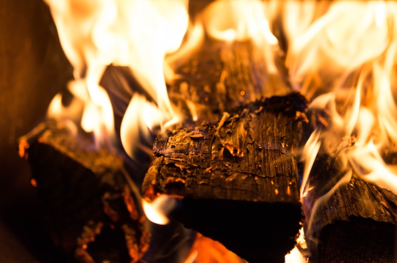 woods, mesmerized, motion, burnt, nature, tree, timber, ash, firewood, log, flame, selective focus, 5K, wood, fire, close-up, fire - natural phenomenon