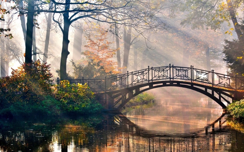autumn, plant, growth, reflection, architecture, water, bridge - man made structure, forest, connection, beauty in nature, 1080P, river, built structure