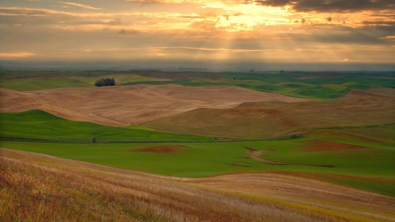 region, sunbeams, heavens, cultivated, washington, nature and landscapes, palouse, clouds, 1080P, fields