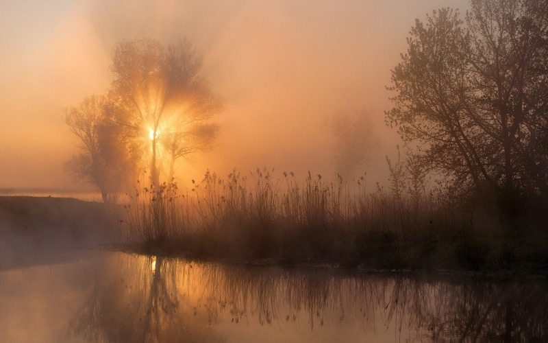 no people, beauty in nature, mist, 720P, fog, idyllic, non-urban scene, lake, reflection lake, trees, shrubs, sky, water, sunbeams, reflection, hazy, river