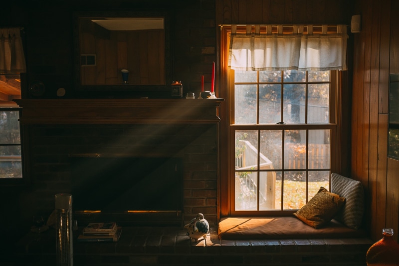 day, home interior, coming, sitting, architecture, sunlight, mammal, kansas city, dark, no people, pets, lifestyles, building, sun, sunbeams, room, window