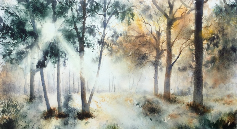 Sunbeam, 2K, Watercolor, Artistic, Tree, Forest, Nature