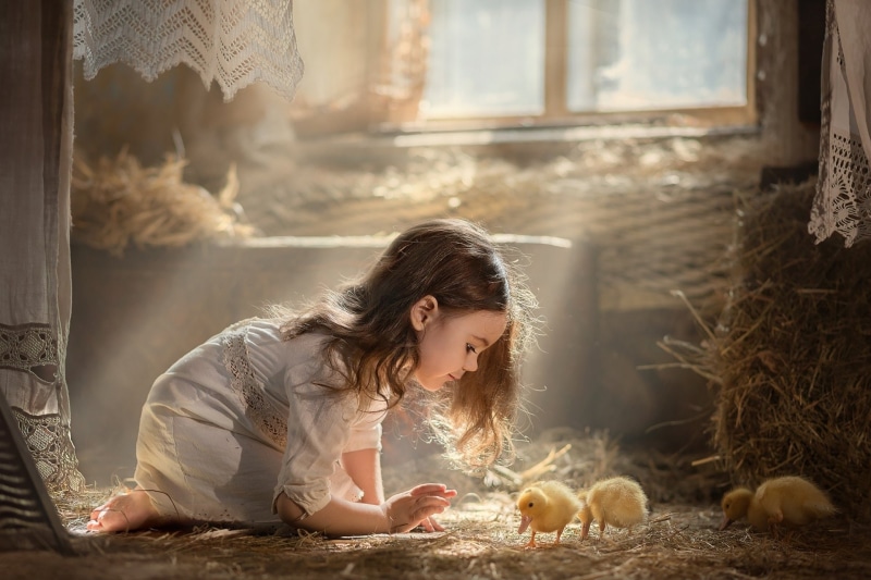 Girl, Baby Animal, 1080P, Little Girl, Sunbeam, Chick, Child, Photography