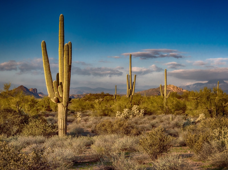 land, sky, Adventure, arid climate, Vacation, pinal, semi-arid, superstitionmountains, Photography, cloud - sky, ApacheJunction, United States, no people