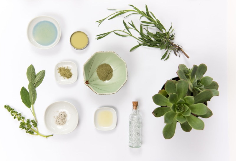 potted, directly above, glass, plant, natural, plates, green, mint leaf - culinary, wellbeing, herb, rosemary, treatment, green color, cream, healthcare and medicine