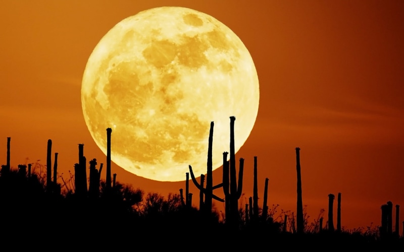 factory, industry, back Lit, full moon, illustration, sky, sunset, idyllic, 720P, astronomy, sunrise - Dawn, technology, circle, sunlight, backgrounds