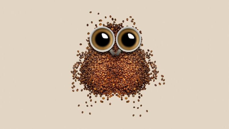 coffee cup, illustration, coffee bean, owl, eyes, art, funny, bean, 4K, bird, coffee