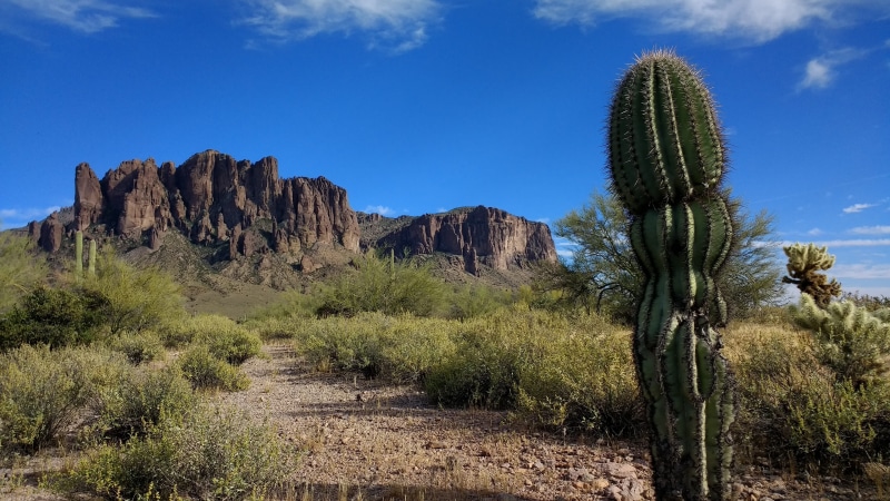 climate, solid, Cactus, arid climate, plant, 4K, growth, outdoors, scenics - nature, tree, rock, nature, wilderness, eroded, landscape, environment, beauty in nature