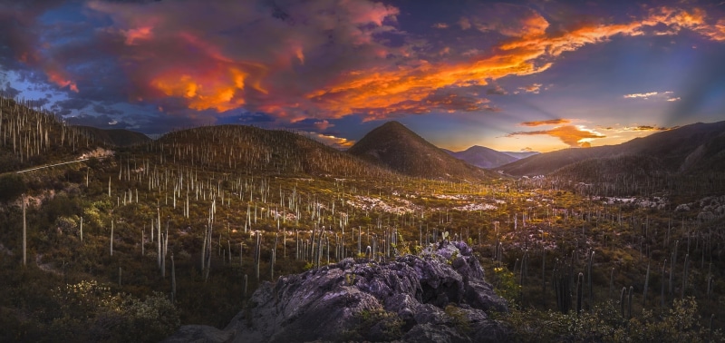 mountain, scenics - nature, Mexico, landscape, cloud - sky, beauty in nature, shrubs, tranquility, aerial, photography, nature, clouds, sunlight, environment