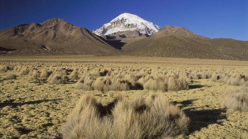 mountain, travel destinations, snowcapped mountain, no people, nature, non-urban scene, plants, field, sand, land, tranquil scene, remote, environment