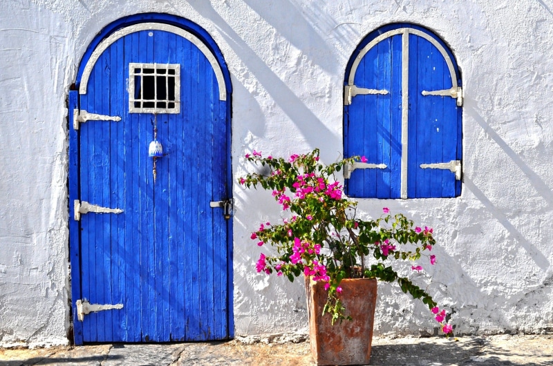 nature, bodrum, purple, building, pink, flower, plant, wall, pink flower, closed, white walls, architecture, blue, blue window, no people, door, wall - building feature