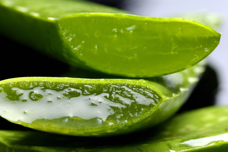 bless you, studio shot, fruit, still life, green Color, close-up, close, 4K, dew, cucumber, focus on foreground, cross section, close up, slice, macro