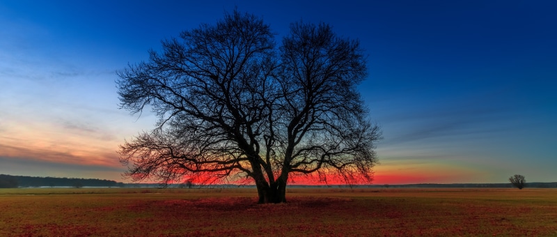 sky, bare, 5K, landscape, meadow, daytime, blue, tree, season, outdoors, sunset, nature, brown, rural Scene