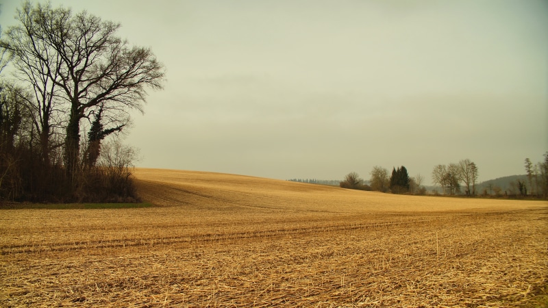 nature, meadow, sky, agriculture, 4K, landscape, rural Scene, farm, menzingen, tree, outdoors, land, autumn, photo, yellow, dry, season, field