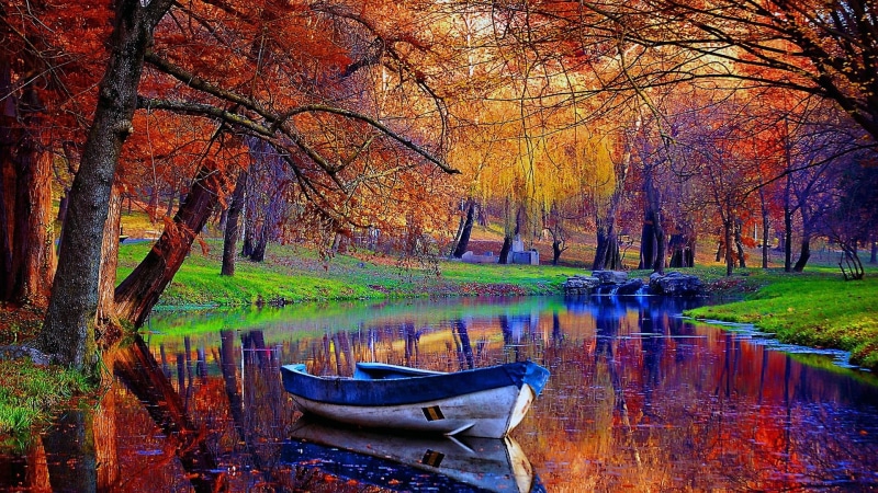 leaves, reflection, autumn, 1080P, autumn colors, canal, waterway, bank, bayou, boat, woodland, tree, branch, deciduous, water