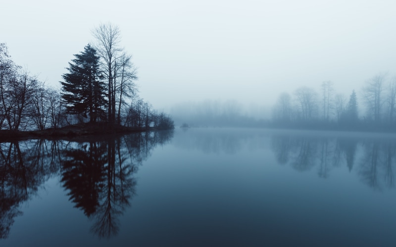 Blue Monk, lake, westrock, outdoors, 4L, tree, reflection, tranquil Scene, 5K, Canon EF, Canon EOS 5D Mark III, washington, body of water, trees, covered