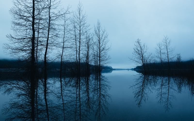 surrounded, outdoors, nature, Pacific Northwest, long exposure, USM, forest, water, cloudy, trees, 70mm, morning, westrock, body, calm, landscape, tranquil Scene