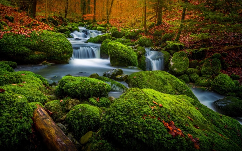 power in nature, river, rock - object, photo, rainforest, nature, water, stream - flowing water, no people, rocks, plant, hd, beauty in nature, flowing