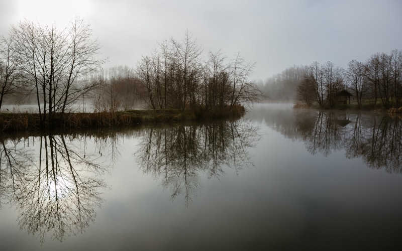 daytime, Morning, outdoors, lake, Canon EOS 5D Mark III, tree, Easton, nature, f/2, Canon EF, Pacific Northwest, USM, 5K, 70mm, body, river, reflection
