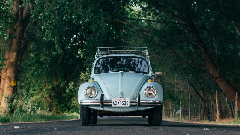 motor vehicle, road, land vehicle, street, Volkswagen Beetle, gray, travel, nature, no people, forest, photography, transportation, day, licence plates