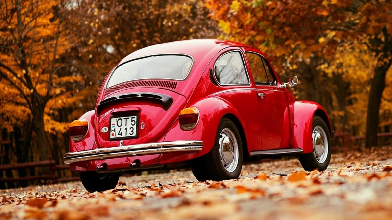 volkswagen beetle, land, oldtimer, car, mode of transportation, red volkswagen, volkswagen, 1080P, autumn, transportation, land vehicle, selective focus