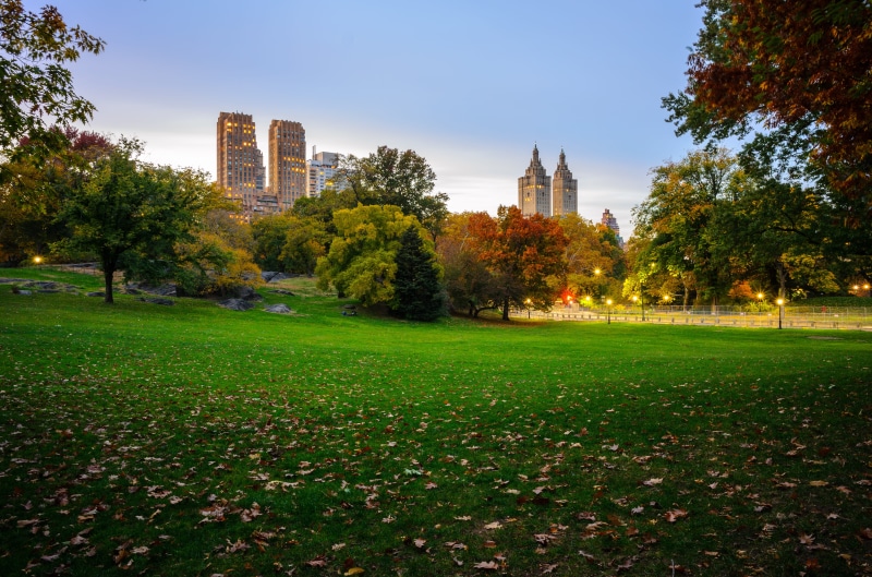 skyline, office building exterior, architecture, central park, tree, change, united states, 4K, travel destinations, park - man made space, tower, building