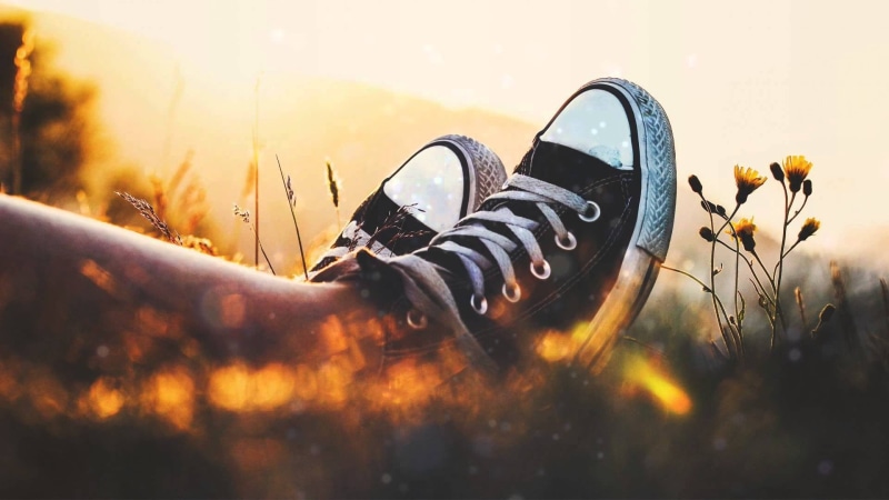 no people, tops, selective focus, protection, land, low, sunlight, close-up, pair, absence, black, sky, transportation, Converse, plant, outdoors, day