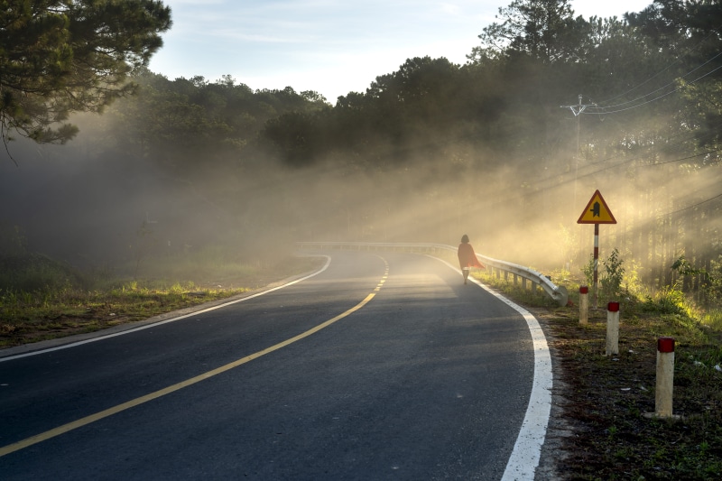 foggy, woods, communication, walking, landscape, marking, trip (journey), light, road, fog, road sign, 8K, day, the way forward, plant, sunset, road marking