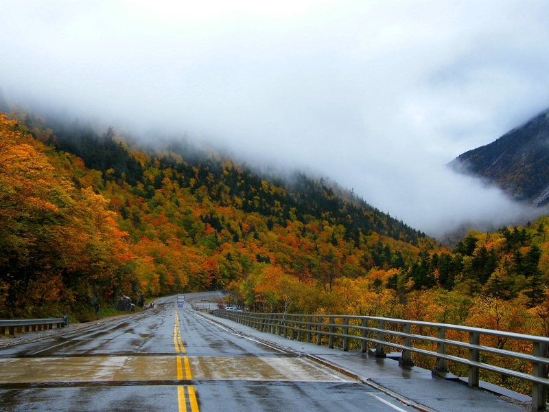 asphalt, New  Hampshire, near, yellow, fall, 2K, forest, autumn, Road Ahead, tree, landscape, mountain, road, nature, fog, outdoors, landscape photography