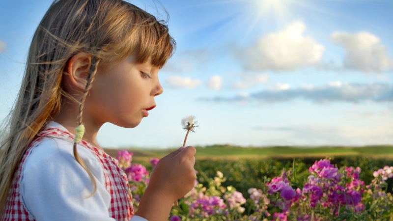sky, child, looking, land, hair, flower head, blonde, holding, profile view, outdoors, plant, little girl, field, flowering plant, hairstyle, freshness