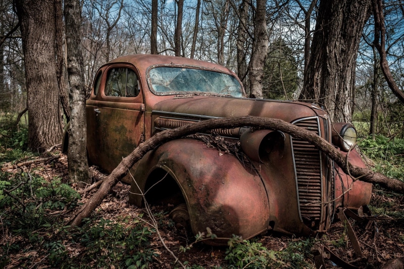 plant, old, mode of transportation, forest, ruined, bad condition, day, woodland, demolished, abandoned, motor vehicle, wreck, rusty, transportation, car
