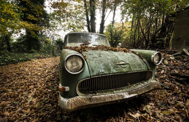 plant, retro styled, metal, forest, vehicle, mode of transportation, obsolete, Opel, land, 1080P, outdoors, decline, abandoned, ruined, tree, no people