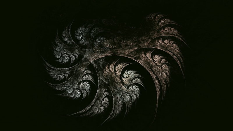 craft, dark, black, swirl, animal themes, black color, animal wildlife, nature, fractal, indoors, close-up, animal, studio shot, 2K, art and craft, art
