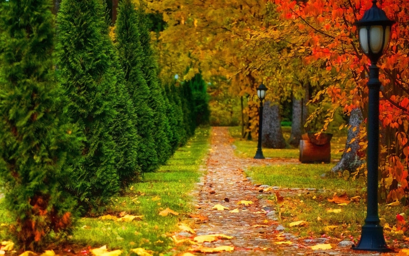 Lantern, Road, Leaves, Park, 2K, Autumn, Trees