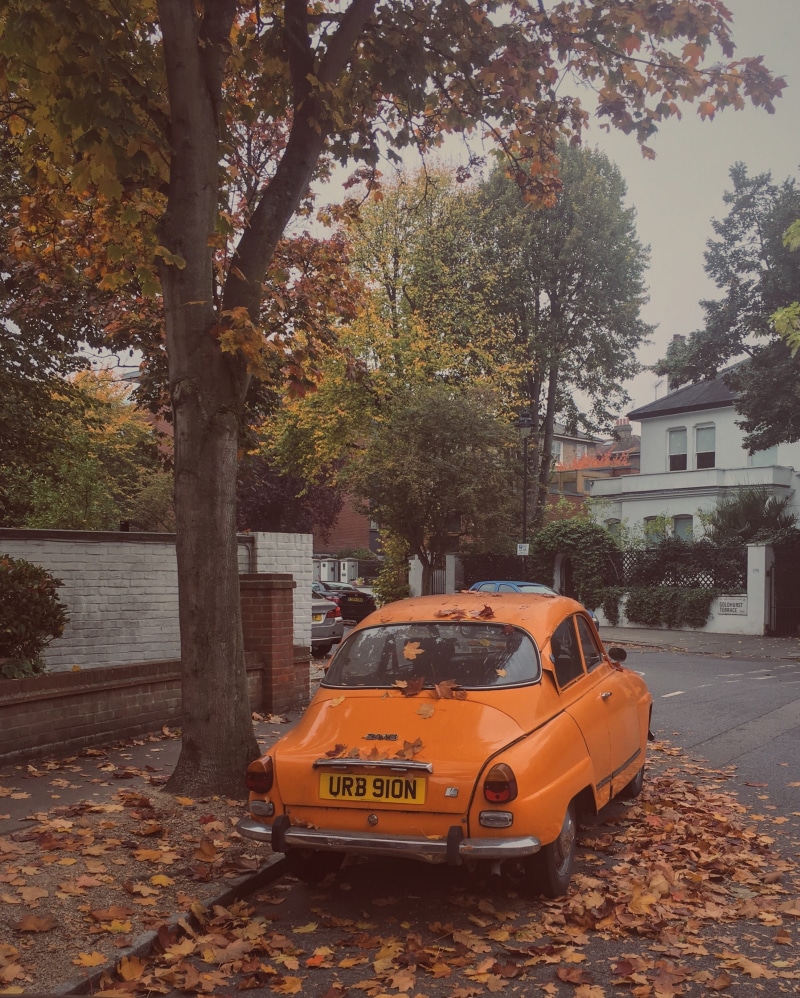 yellow, trunk, plant part, architecture, weather, golden, land vehicle, car, urban, Street, uk, retro, city, windy, older, no people, road, England, taxi