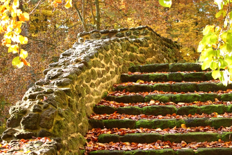 fall foliage, food and drink, direction, autumn, 5K, grotto, ludwigslust-parchim, scenics - nature, stone steps, fallen, staircase, change, tree, outdoors