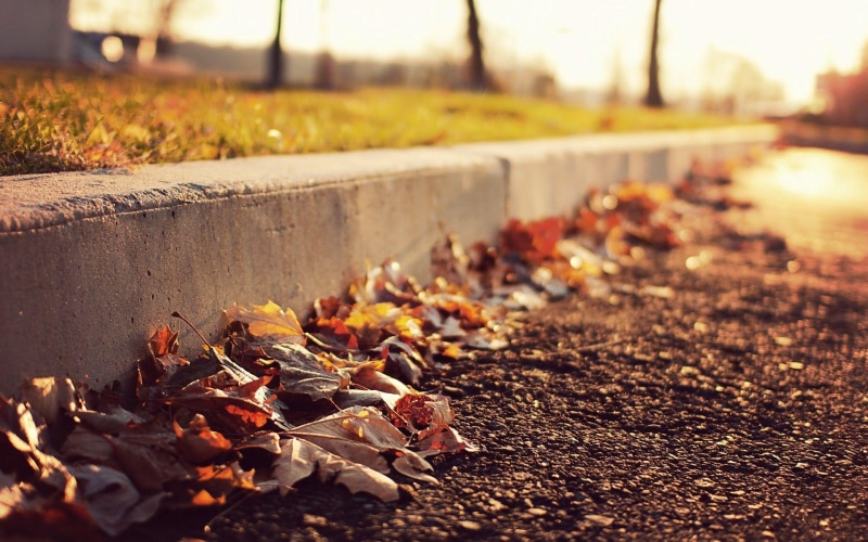 fall, rusty, autumn, withered, photography, fallen, leaf, leaves, 1920x1200, 1080P