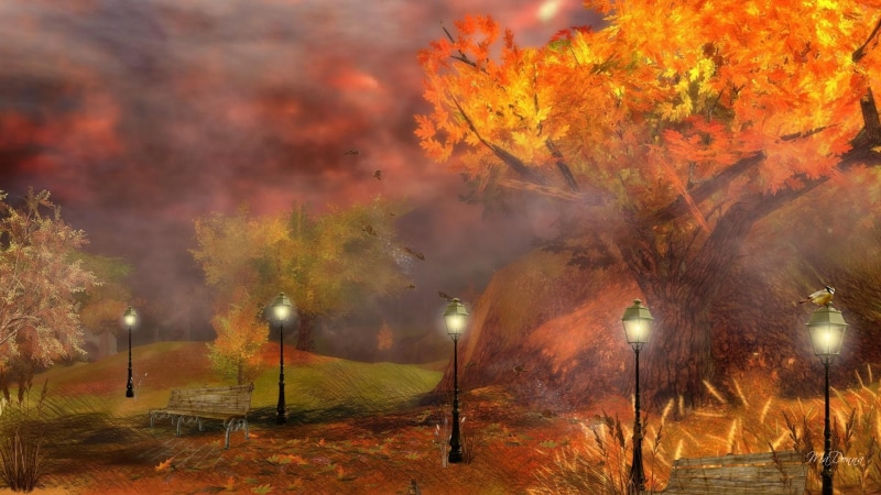 firefox persona, benches, autumn, evening, foggy, leaves, 3d and a, fall, fallen, lamp lights, 1080P, mist, ground